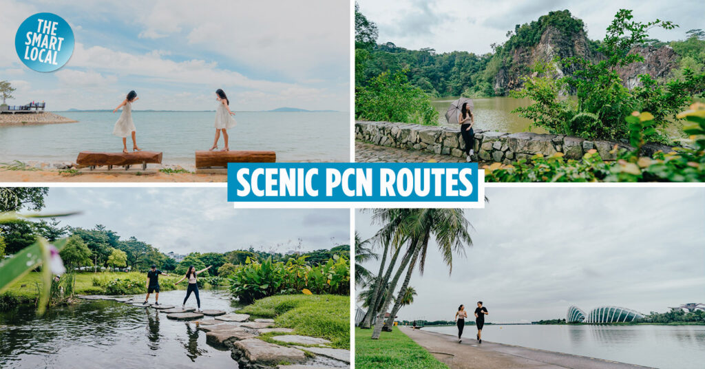 8 Most Picturesque Park Connectors In Singapore For Chio Fitspo IG Posts