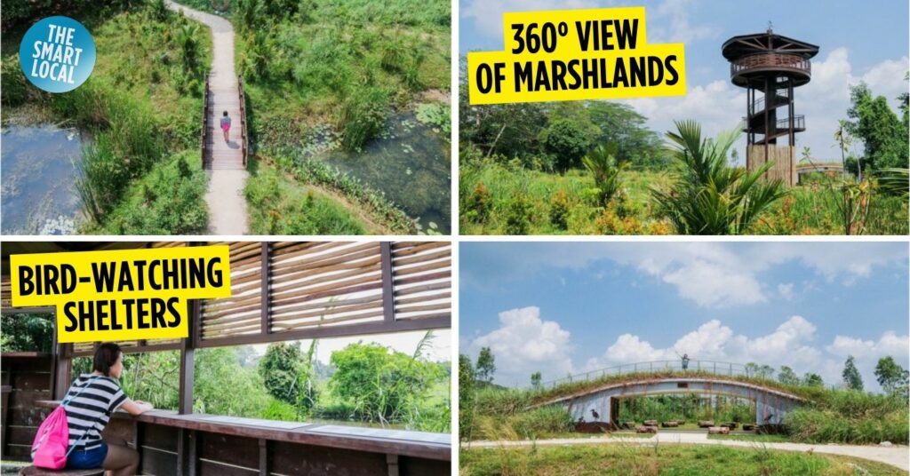 kranji marshes guide