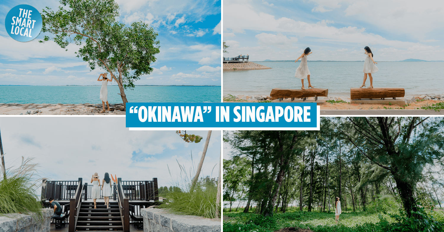 Guide To Changi Bay Point: Seaside Cycling Paths, Mini Forest & Boardwalk Along The Round-Island Route