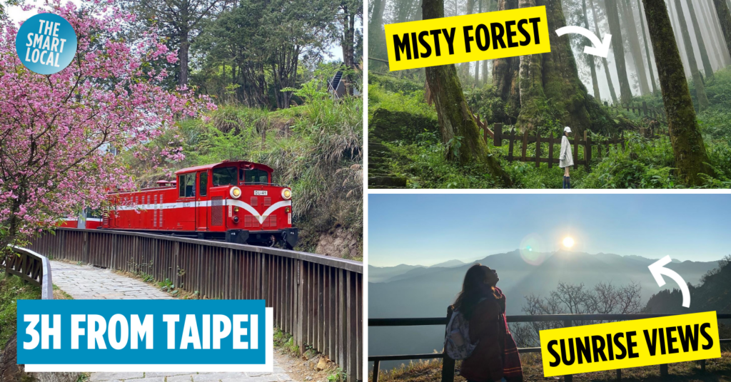 This 111-Year-Old Train In Alishan Makes Stops At A Bento Station, Forest & Cherry Blossom Park